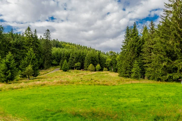 Yaz sonu yürüyüşü. Kleinschmalkalden yakınlarındaki Thuringian Ormanı 'nda.