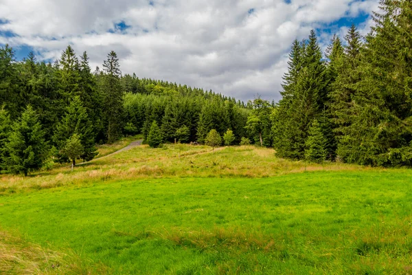 Yaz sonu yürüyüşü. Kleinschmalkalden yakınlarındaki Thuringian Ormanı 'nda.
