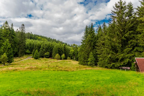 Yaz sonu yürüyüşü. Kleinschmalkalden yakınlarındaki Thuringian Ormanı 'nda.