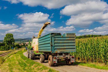 Schmalkalden yakınlarında yaz sonu tahıl hasadı - Thüringen - Almanya