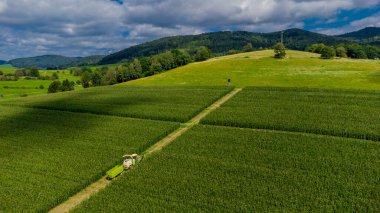 Schmalkalden yakınlarında yaz sonu tahıl hasadı - Thüringen - Almanya