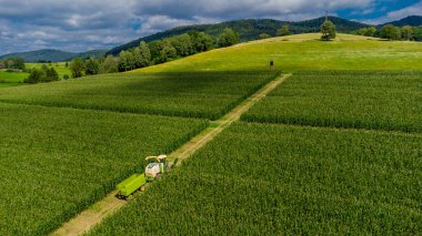 Schmalkalden yakınlarında yaz sonu tahıl hasadı - Thüringen - Almanya