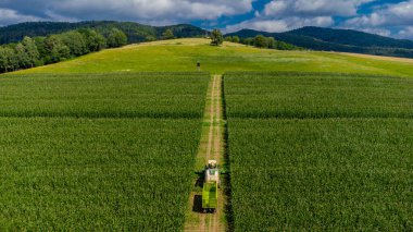 Schmalkalden yakınlarında yaz sonu tahıl hasadı - Thüringen - Almanya