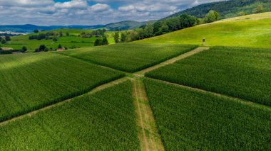 Schmalkalden yakınlarında yaz sonu tahıl hasadı - Thüringen - Almanya