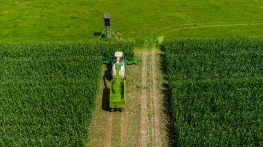 Schmalkalden yakınlarında yaz sonu tahıl hasadı - Thüringen - Almanya