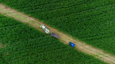 Schmalkalden yakınlarında yaz sonu tahıl hasadı - Thüringen - Almanya