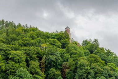 Steinbach-Hallenberg yakınlarındaki Thüringen Ormanı 'nda sonbahar keşfi turu