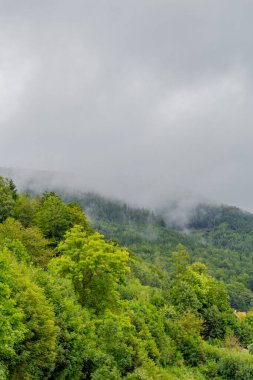 Steinbach-Hallenberg yakınlarındaki Thüringen Ormanı 'nda sonbahar keşfi turu