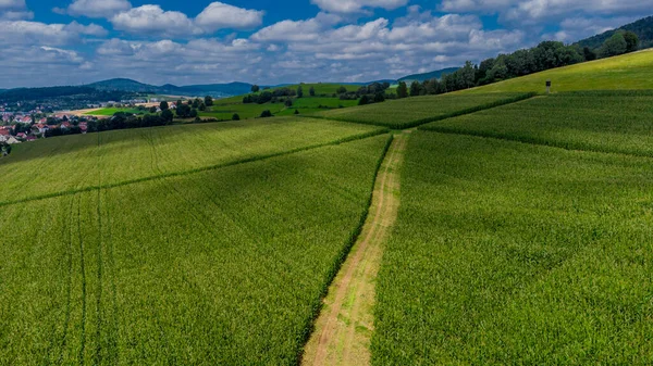 Spätsommerliche Getreideernte Bei Schmalkalden Thüringen Deutschland — Stockfoto