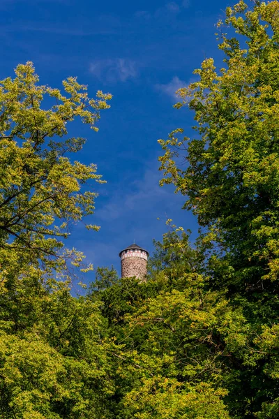 Őszi Felfedező Túra Türingiai Erdőben Steinbach Hallenberg Közelében Türingia — Stock Fotó