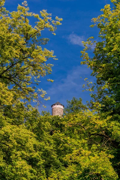 Herbst Entdeckungstour Durch Den Thüringer Wald Bei Steinbach Hallenberg Thüringen — Stockfoto