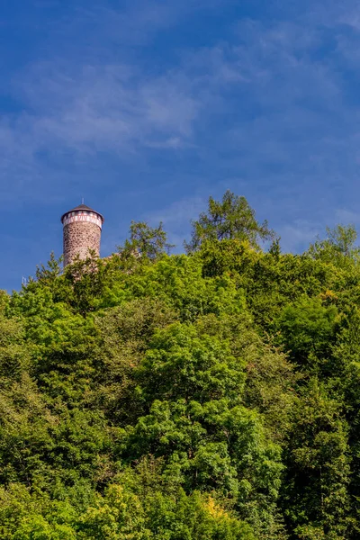 Excursão Descoberta Outono Pela Floresta Turíngia Perto Steinbach Hallenberg Turíngia — Fotografia de Stock