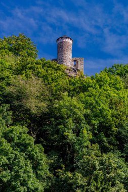 Steinbach-Hallenberg yakınlarındaki Thüringen Ormanı 'nda sonbahar keşfi turu