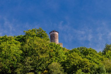 Steinbach-Hallenberg yakınlarındaki Thüringen Ormanı 'nda sonbahar keşfi turu