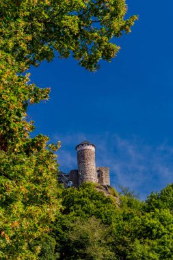 Steinbach-Hallenberg yakınlarındaki Thüringen Ormanı 'nda sonbahar keşfi turu