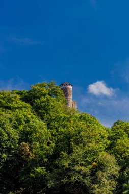 Steinbach-Hallenberg yakınlarındaki Thüringen Ormanı 'nda sonbahar keşfi turu