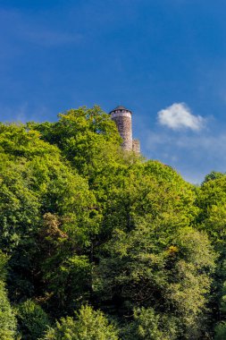 Steinbach-Hallenberg yakınlarındaki Thüringen Ormanı 'nda sonbahar keşfi turu