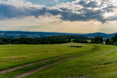 Yaz keşfi turu Steinbach-Hallenberg yakınlarındaki Thuringian Ormanı 'nda