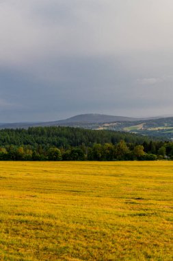 Yaz keşfi turu Steinbach-Hallenberg yakınlarındaki Thuringian Ormanı 'nda