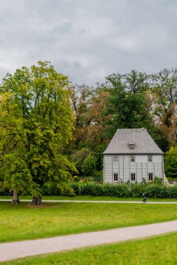 Weimar 'ın klasik şehrinde ve Ilm-Thüringen' deki güzel parkında sonbahar yürüyüşü
