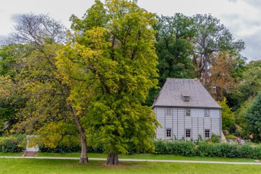 Weimar 'ın klasik şehrinde ve Ilm-Thüringen' deki güzel parkında sonbahar yürüyüşü