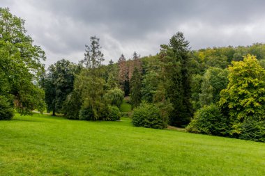 Weimar 'ın klasik şehrinde ve Ilm-Thüringen' deki güzel parkında sonbahar yürüyüşü