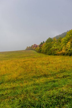Eisenach yakınlarındaki muhteşem Hrsel Dağları boyunca sonbahar keşif turu - Thüringen