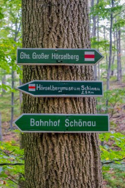 Eisenach yakınlarındaki muhteşem Hrsel Dağları boyunca sonbahar keşif turu - Thüringen