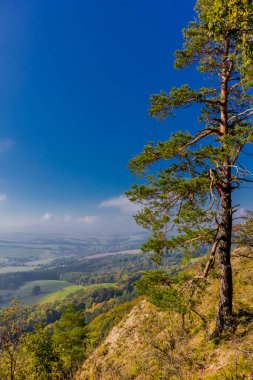 Eisenach yakınlarındaki muhteşem Hrsel Dağları boyunca sonbahar keşif turu - Thüringen