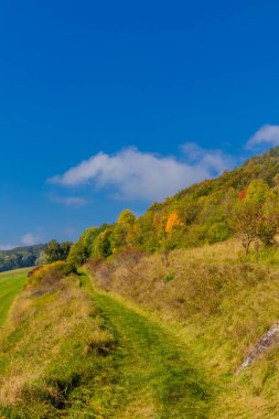 Eisenach yakınlarındaki muhteşem Hrsel Dağları boyunca sonbahar keşif turu - Thüringen