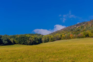 Eisenach yakınlarındaki muhteşem Hrsel Dağları boyunca sonbahar keşif turu - Thüringen