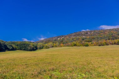 Eisenach yakınlarındaki muhteşem Hrsel Dağları boyunca sonbahar keşif turu - Thüringen