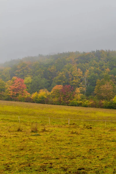 Autumn Discovery Tour Magnificent Hrsel Mountains Eisenach Thuringia — Stock Photo, Image