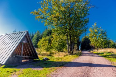 Ruhla-Thüringen yakınlarındaki Thüringen Ormanı 'nda sonbahar havası