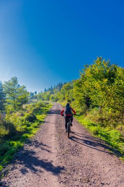 Ruhla-Thüringen yakınlarındaki Thüringen Ormanı 'nda sonbahar havası