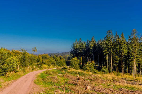 Herfstsfeer Hoogten Van Het Thüringer Woud Bij Ruhla Thüringen — Stockfoto