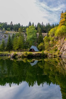 Renkli sonbahar yavaş ama emin adımlarla Thüringen Ormanı 'nın zirvesine ulaşır.
