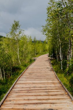 Avusturya 'da Seefeld yakınlarındaki Wildsee gölünün etrafında dolaşın.
