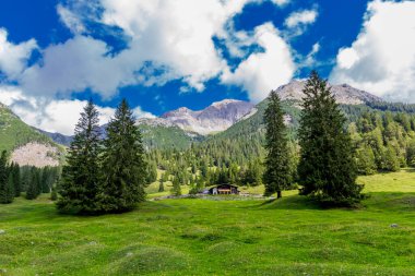 Tirol 'deki güzel Leutasch Vadisi' nde Tatil Hissediyor