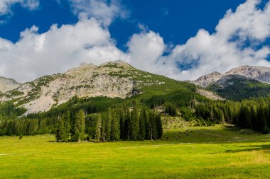 Tirol 'deki güzel Leutasch Vadisi' nde Tatil Hissediyor