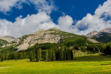 Tirol 'deki güzel Leutasch Vadisi' nde Tatil Hissediyor