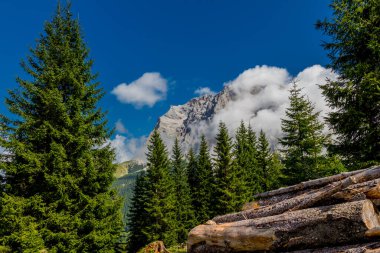 Tirol 'deki güzel Leutasch Vadisi' nde Tatil Hissediyor