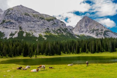 Tirol 'deki güzel Leutasch Vadisi' nde Tatil Hissediyor