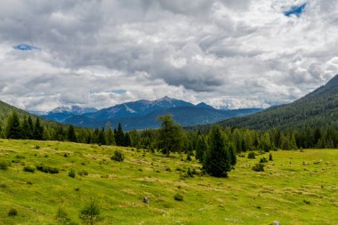 Tirol 'deki güzel Leutasch Vadisi' nde Tatil Hissediyor