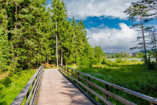 Wandeling Rond Wildsee Bij Seefeld Tirol Oostenrijk — Stockfoto