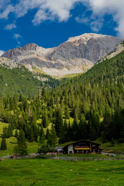Vacances Sentir Autour Belle Vallée Leutasch Tyrol — Photo