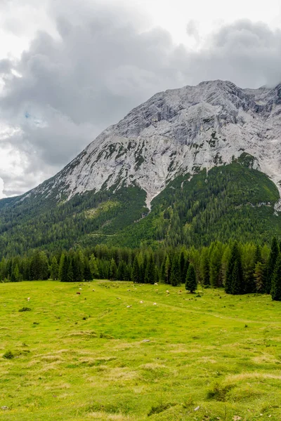 Dovolená Pocit Kolem Krásné Leutasch Valley Tyrolsku — Stock fotografie