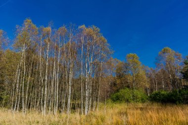 Rhn Ulusal Parkı 'ndaki yolda ve sonbahar atmosferinde Hesse