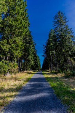 Rhn Ulusal Parkı 'ndaki yolda ve sonbahar atmosferinde Hesse
