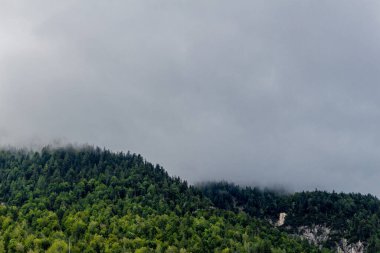 Scharnitz - Avusturya yakınlarındaki Isar 'ın kaynağındaki Karwendel vadisinde keşif turu 